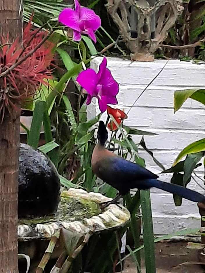St. Lucia Wetlands Guest House