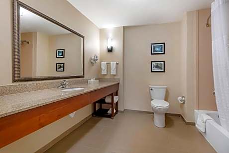 1 King Bed, Suite, Nonsmoking