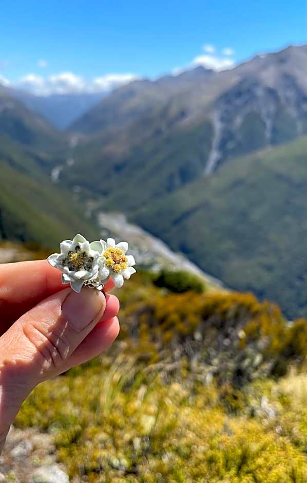 Arthur's Pass Motel & Lodge