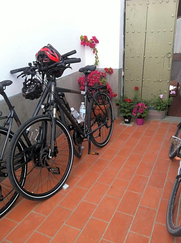 No 31 Bed & Breakfast