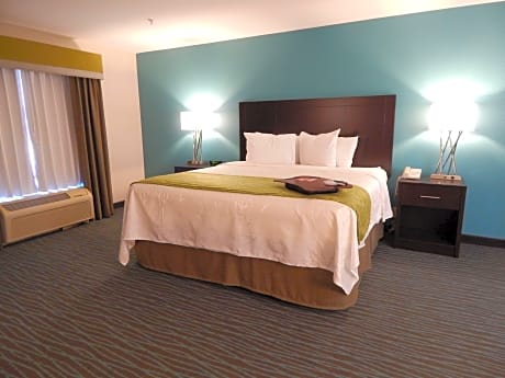 1 King Bed Non-Smoking