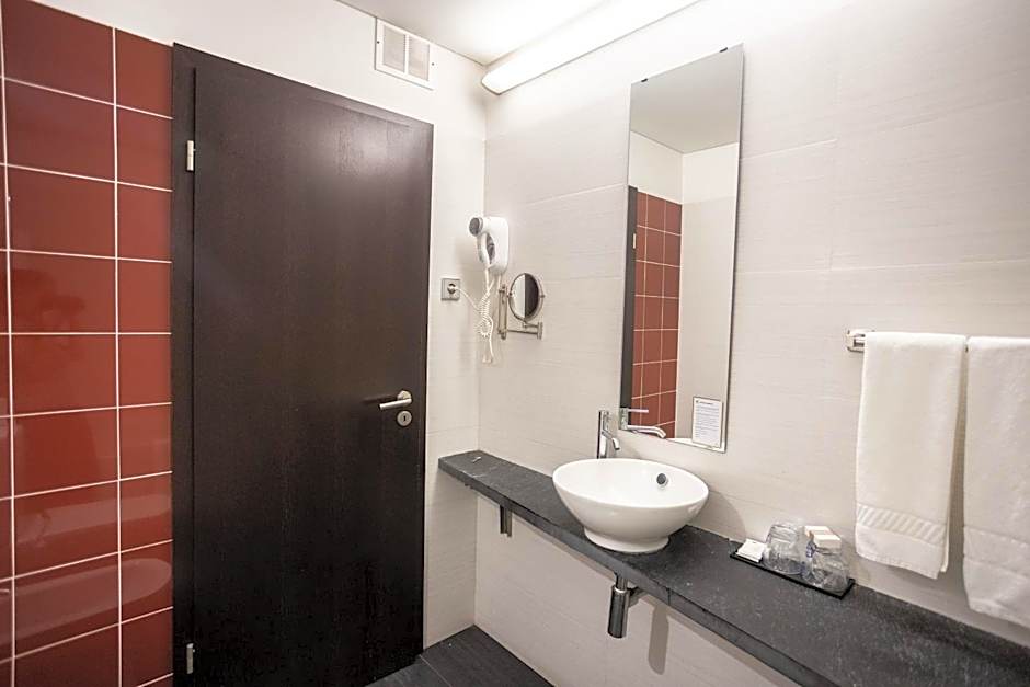 Hotel Sao Pedro - Arouca