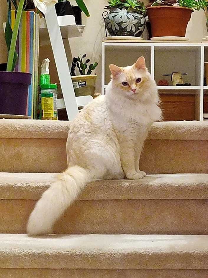 Helen's House / Close to Skytrain and Airport