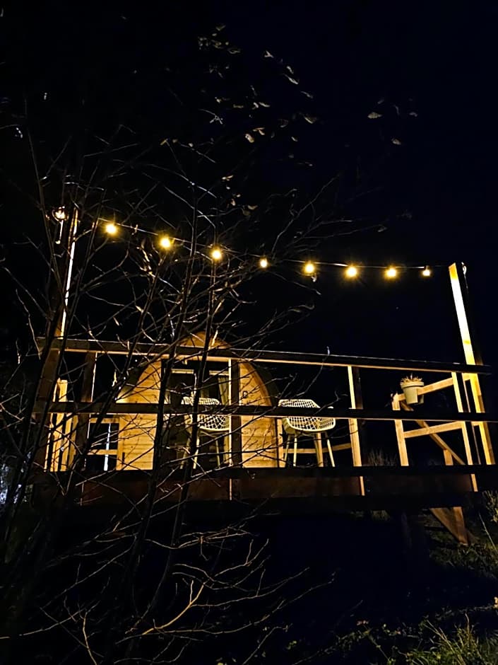 Tiny House De Skierroek