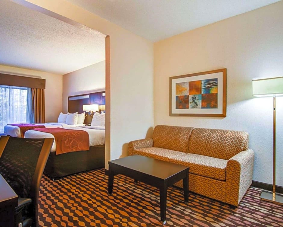 Comfort Suites Northside Hospital Gwinnett