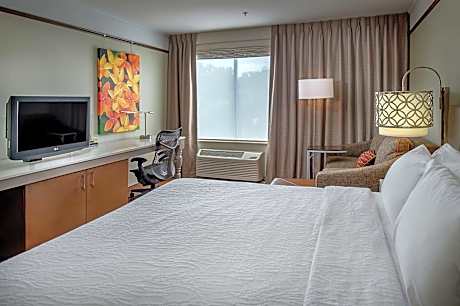 Premium King Room