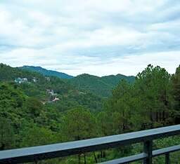 ARNISA Kasauli - A Boutique Hotel