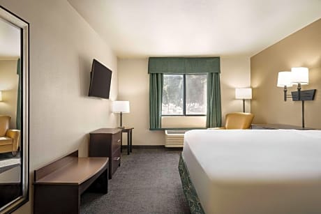 1 Queen Bed Mobility Accessible Room Non-Smoking