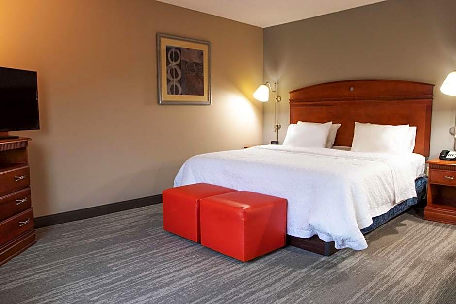 Foto 1 di 2 di 1 King Bed, Hearing/Mobility Accessible, Bathtub