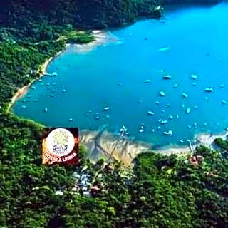 Pousada Floresta verde suítes