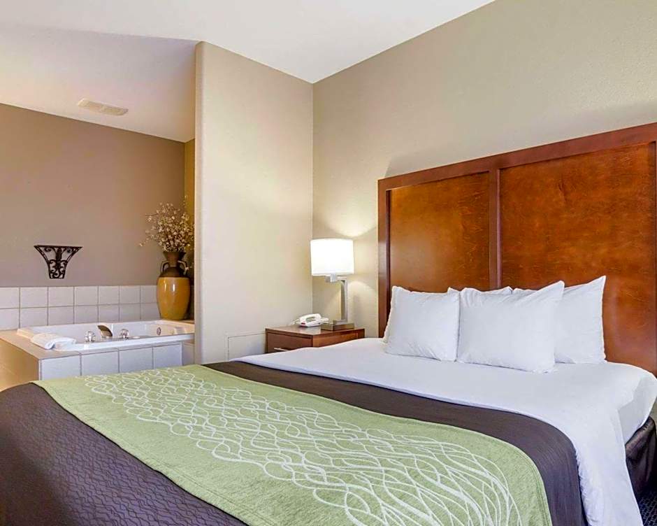 Comfort Inn Garden City