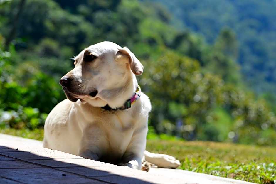 Pousada Encanto da Bocaina - Serra da Bocaina