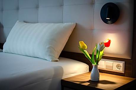Comfort Queen Room