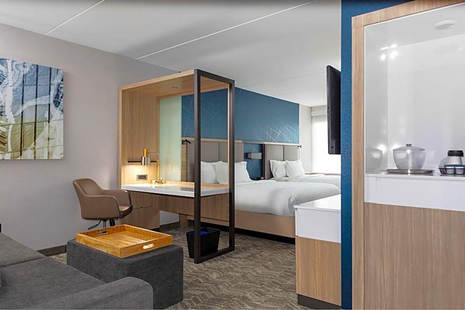 SpringHill Suites By Marriott Durham City View