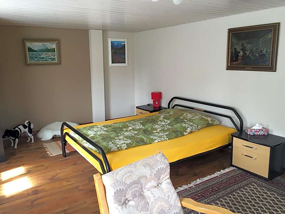 Wohlfühloase für Mensch und Hund