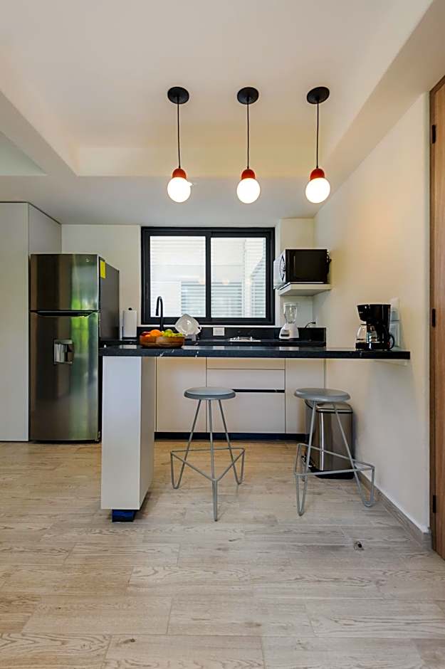 Choapan 28 - Lux Apartments in Condesa