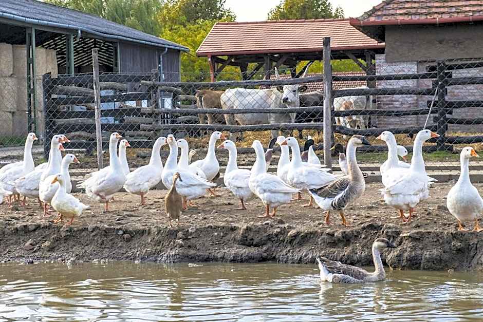 Erdőspuszta Club Hotel Fenyves