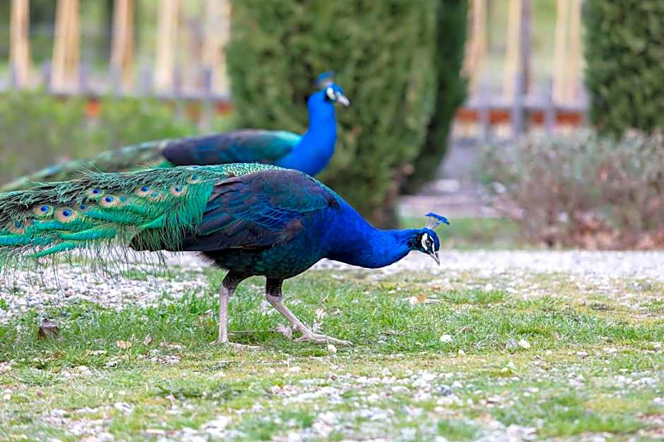 Ca'Novae - Tuscany Farmhouse