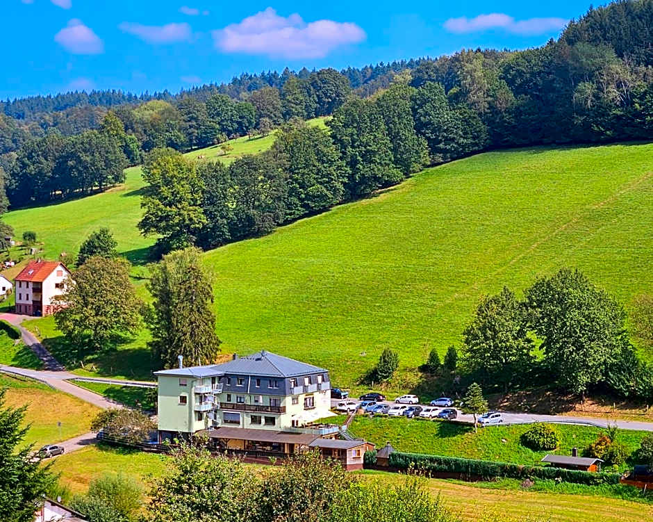 Hotel Grüner Baum mit Restaurant & Wellness