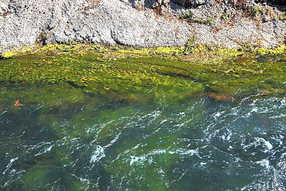 Hotel La Sorgente HS