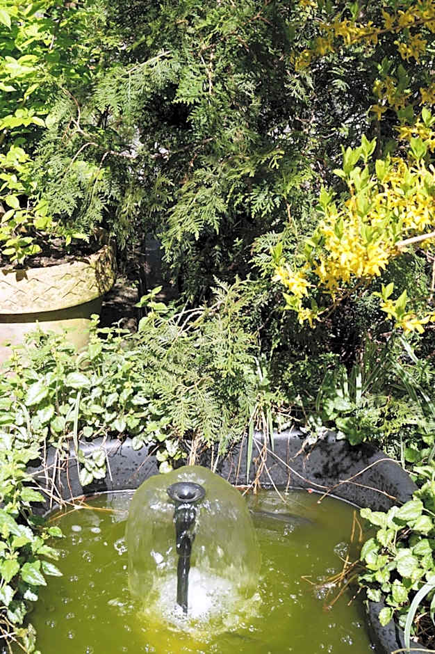 Hotel Forsthaus St. Hubertus