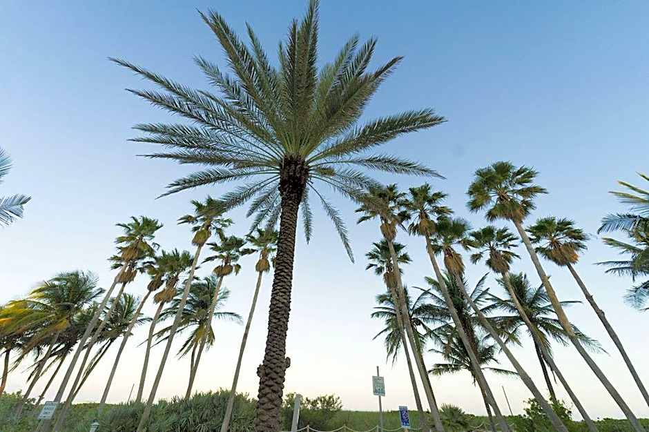 BROADMORE MIAMI BEACH
