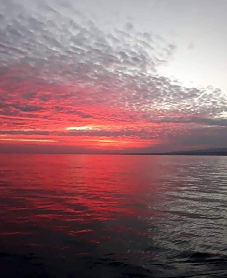 Private villa bamboo cozy