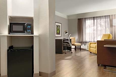 1 King Bed Deluxe Suite Non-Smoking