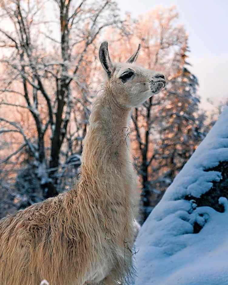 Wellness Hotel Liberecká Výšina