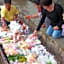 Baan Suan Amphawa