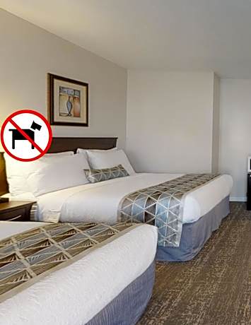 Standard 2 Queen Room (Non-Pet Friendly)