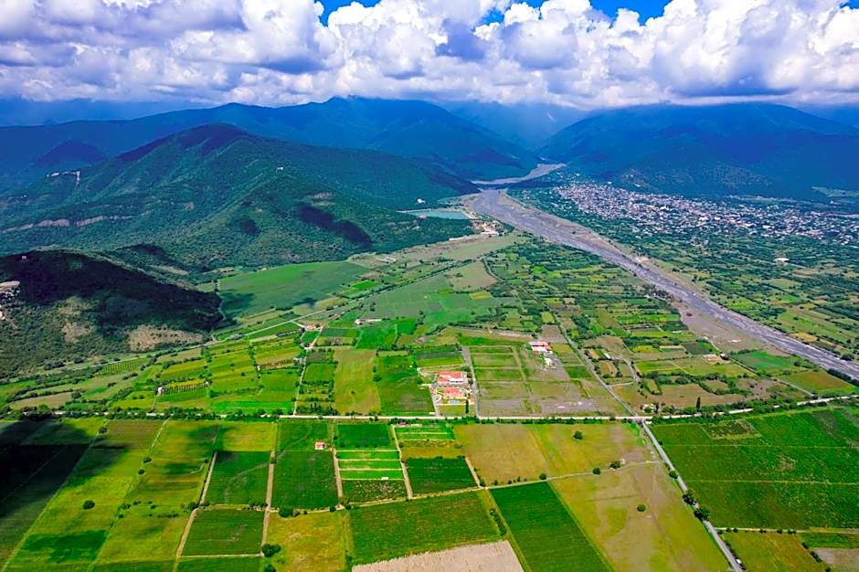 Burki Castle & Cellar