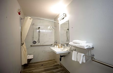 Queen Room - Disability Access - Roll in Shower