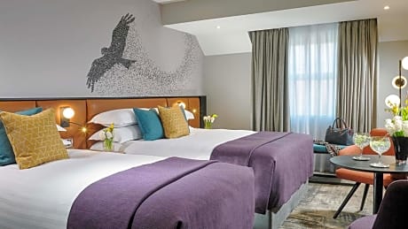 Double Room with Single Occupancy