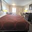Super 8 by Wyndham Baytown/Mont Belvieu