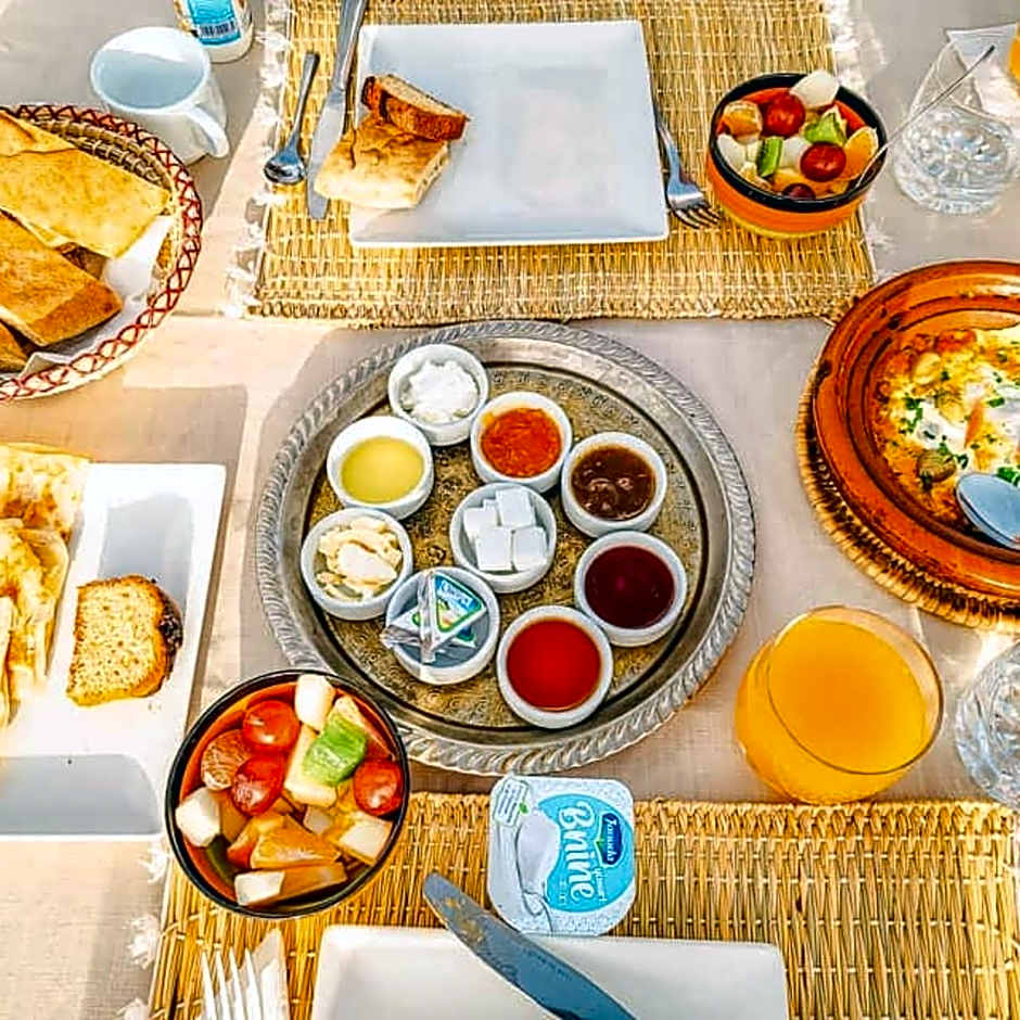 Sahara wellness camp