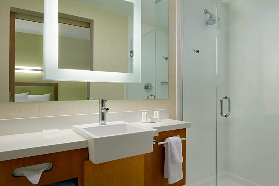 SpringHill Suites by Marriott Tuscaloosa