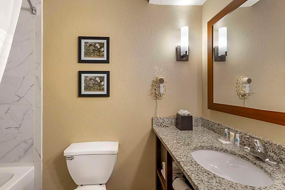 Comfort Suites At The University