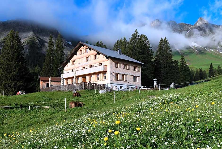 Edelweiß am Öberle