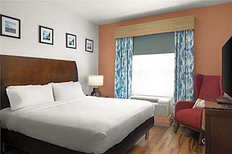 1 King Bed 1 Bedroom Suite