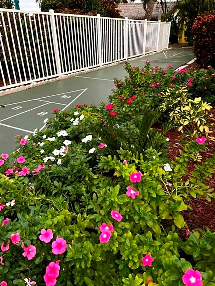 Searenity, Waterside studio in the heart of Treasure Island, walk to beach