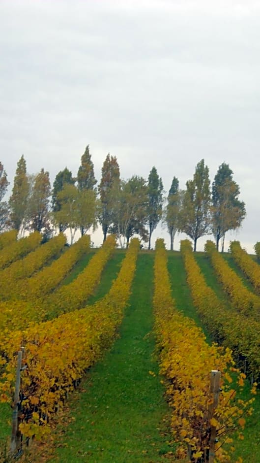 La Casa del Giardiniere