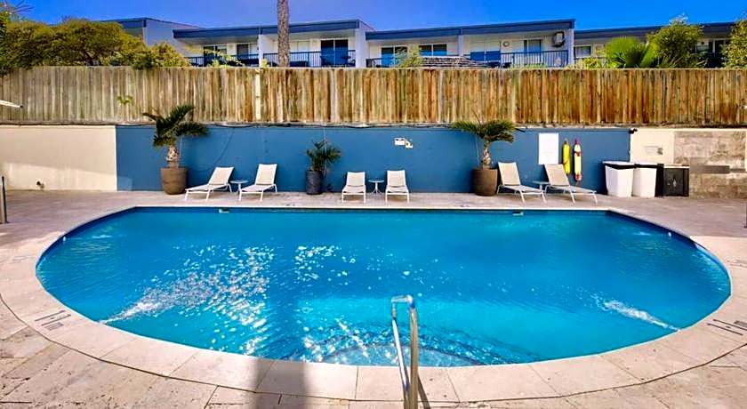 Seashells Scarborough