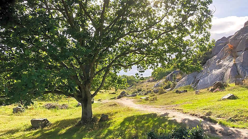 Nexø Modern Hostel. Private Rooms