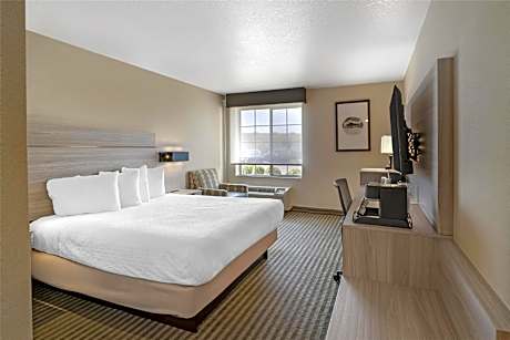 Accessibility - 1 Queen, Bathtub , Nonsmoking