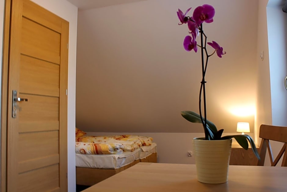 Domki w porcie Zielony Gaj