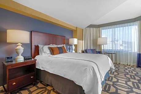 Premier Luxury Room 1 Queen Bed