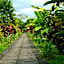 Volcano Lodge, Hotel & Thermal Experience