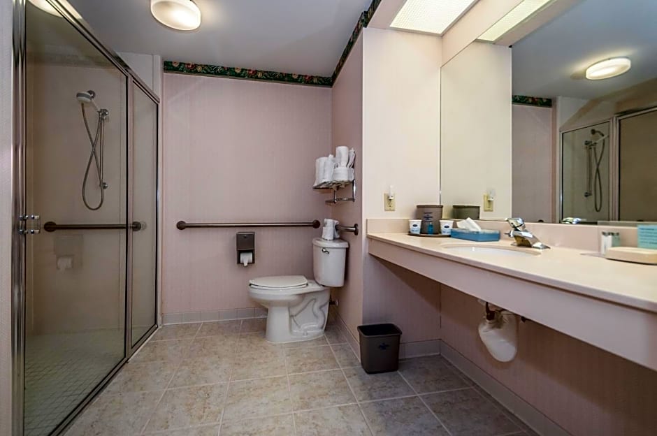 Holiday Inn St. Petersburg West By IHG