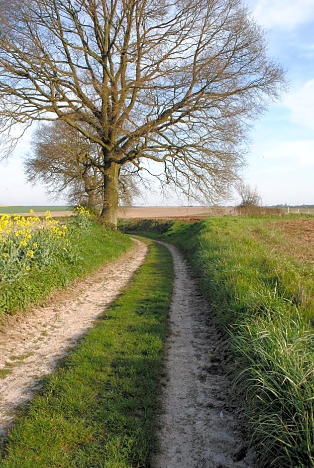 Chambres d'hôtes La Tribu